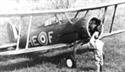 Picture of Gloster Gladiator Plan