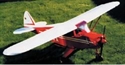 Picture of PIPER TRIPACER