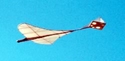 Picture of GEORGE CAYLEY 1804 GLIDER