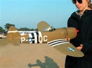 Picture of P-47D THUNDERBOLT