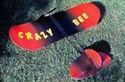 Picture of CRAZY BEE