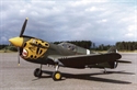Picture of Curtiss P-40E Kittyhawk (65.25") Plan