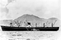 Picture of MV WENDOVER