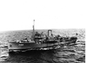 Picture of Flower-Class Corvettes HMS Camellia, HMS Rhododendron & HMS Begonia