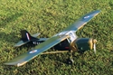 Picture of MINI AUSTER AOP9