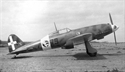 Picture of MACCHI C-202 FOLGORÉ (61”)