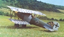 Picture of Pfalz D-XII (59”)