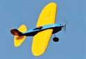 Picture of Buzz-B Plan