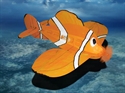 Picture of Clown Fish