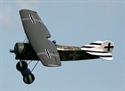 Picture of Fokker D.VIII Plan