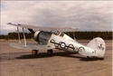 Picture of Gloster Gladiator (56")