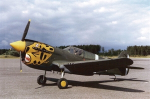 Picture of Curtiss P-40E Kittyhawk (65.25")