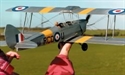 Picture of Tiger Moth