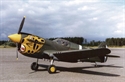 Picture of Curtiss P-40E Kittyhawk (65.25") Set