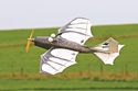 Picture of Batty RC2159