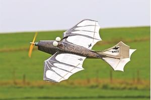 Picture of Batty RC2159