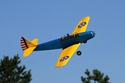 Picture of Fairchild PT-19 (Woodpack)